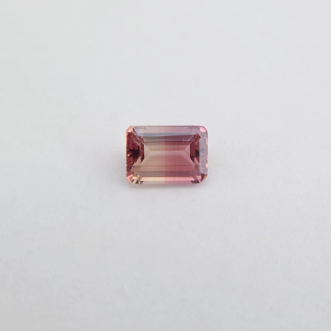 Bi-Color Tourmaline (Natural Gemstone)